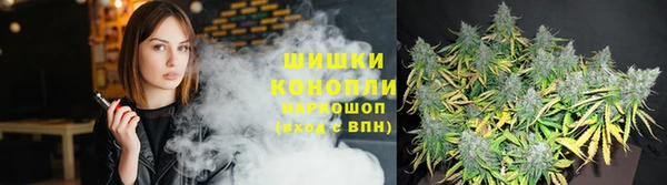мяу мяу мука Новодвинск