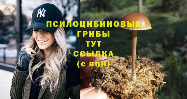 a pvp Новокубанск