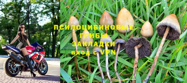 прущие крисы Дубна