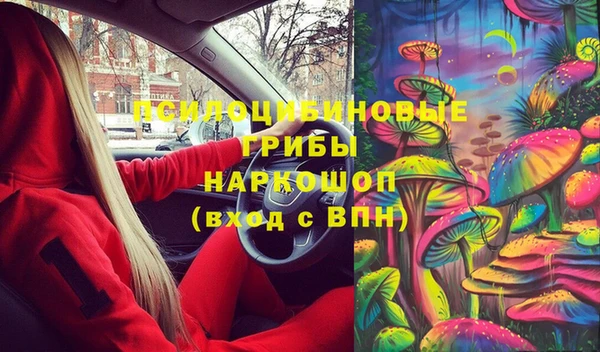 a pvp Новокубанск