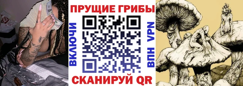Галлюциногенные грибы мухоморы  цена   Тосно 
